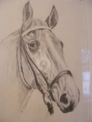 Pferdekopf als Bleistift-Zeichnung von Egon Edrich  